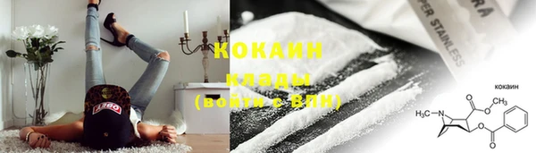 шишки Белоозёрский