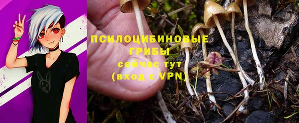 шишки Белоозёрский