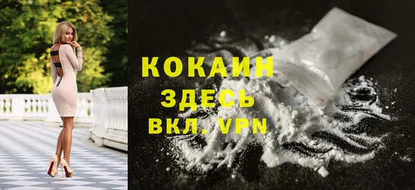шишки Белоозёрский
