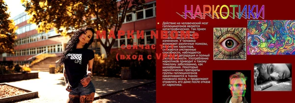 шишки Белоозёрский
