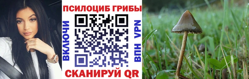 Псилоцибиновые грибы GOLDEN TEACHER  ссылка на мегу маркетплейс  Куса  закладка 